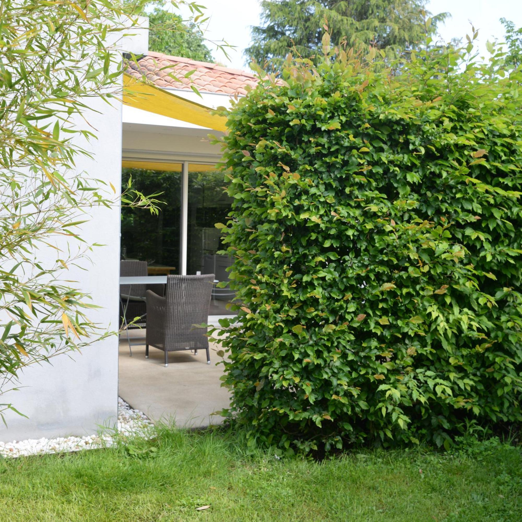 La Maison des Hérissons Bergerac Extérieur photo